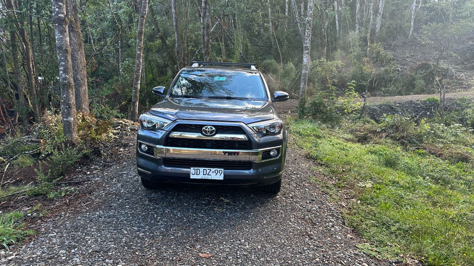 TOYOTA 4RUNNER LTD 4X4 4.0 AUT 2017 JDDZ99
